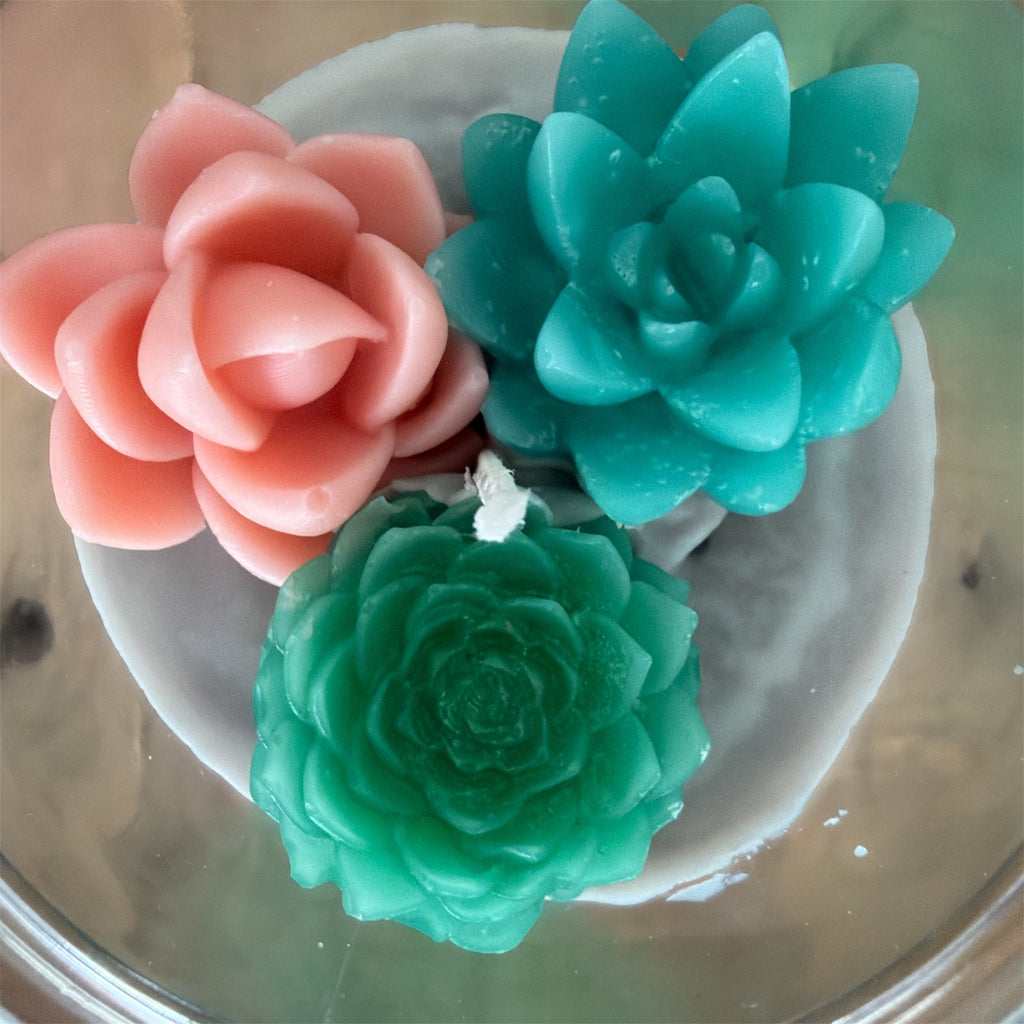 Succulent Soy Candle